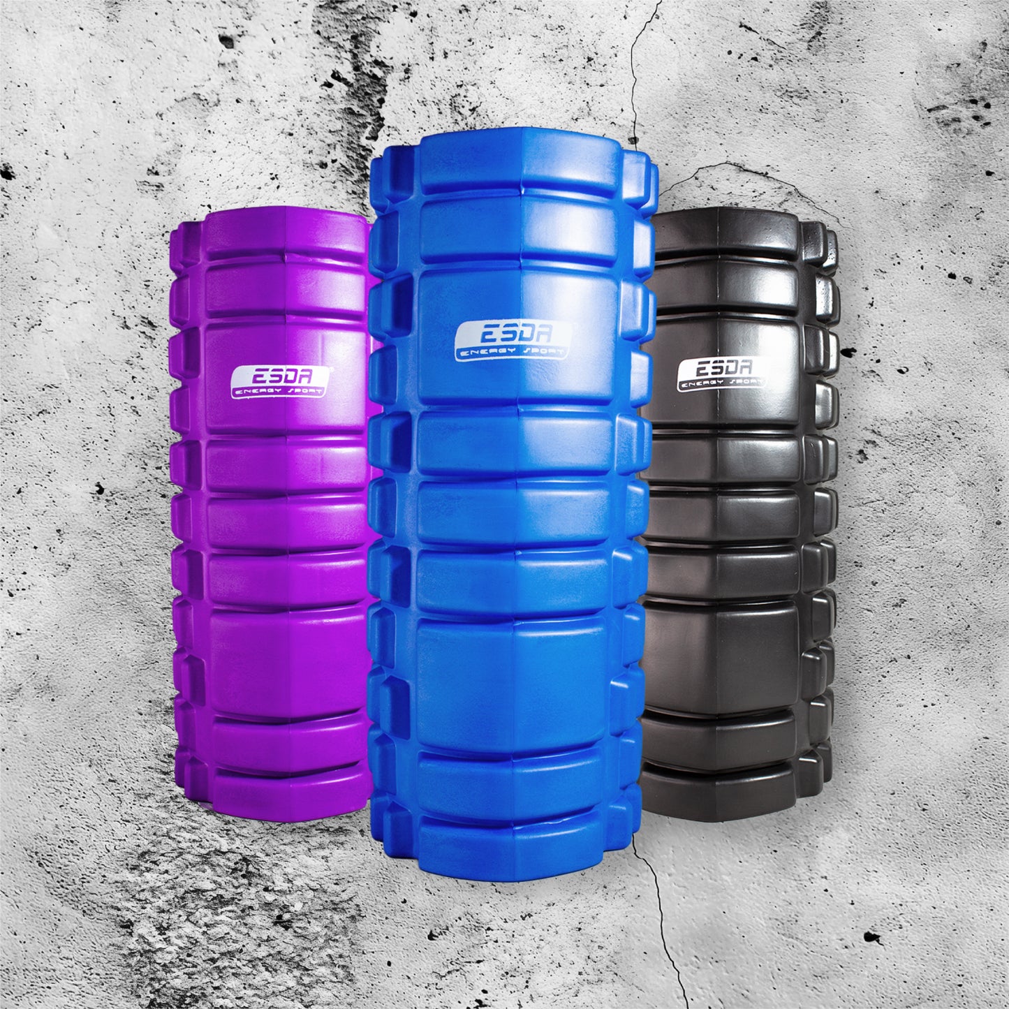 RODILLO DE EJERCICIO ESDA